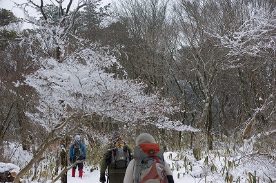 DSC05247.jpg
