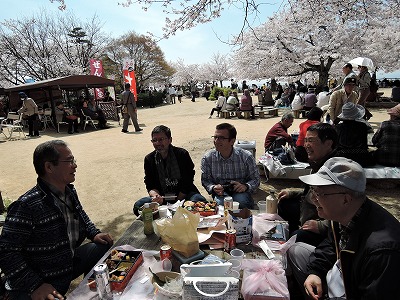 hanami1.jpg