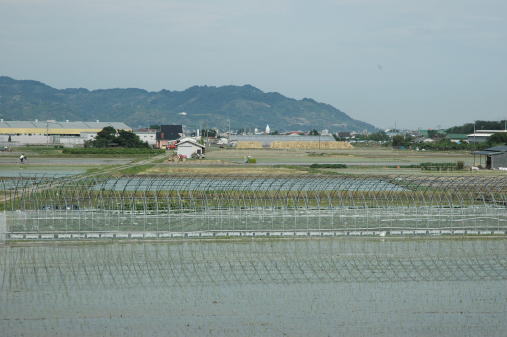 taue190613.jpg