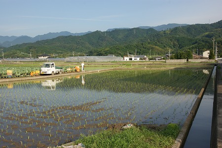 taue240622.jpg